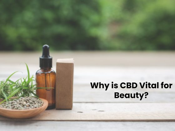 Why is CBD Very important for Magnificence?