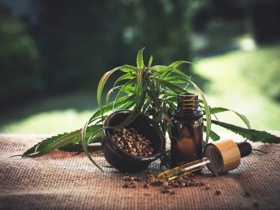 CBD Oil and Hemp Oil – Similar or Not