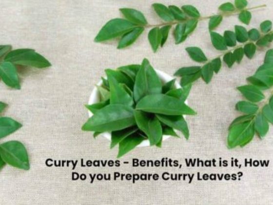 Benefits of Curry Leaves – What is it, How Do you Prepare Curry Leaves?